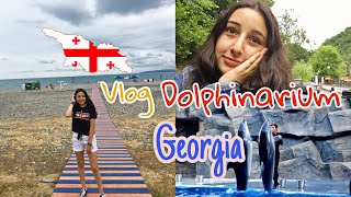 VLOG// Dolphinarium //Վլոգ// Դելֆինարիում // Վրաստան