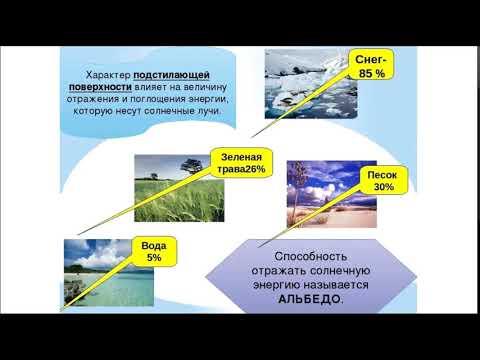 Видео: Какой тип растительности произрастает в средиземноморском климате?