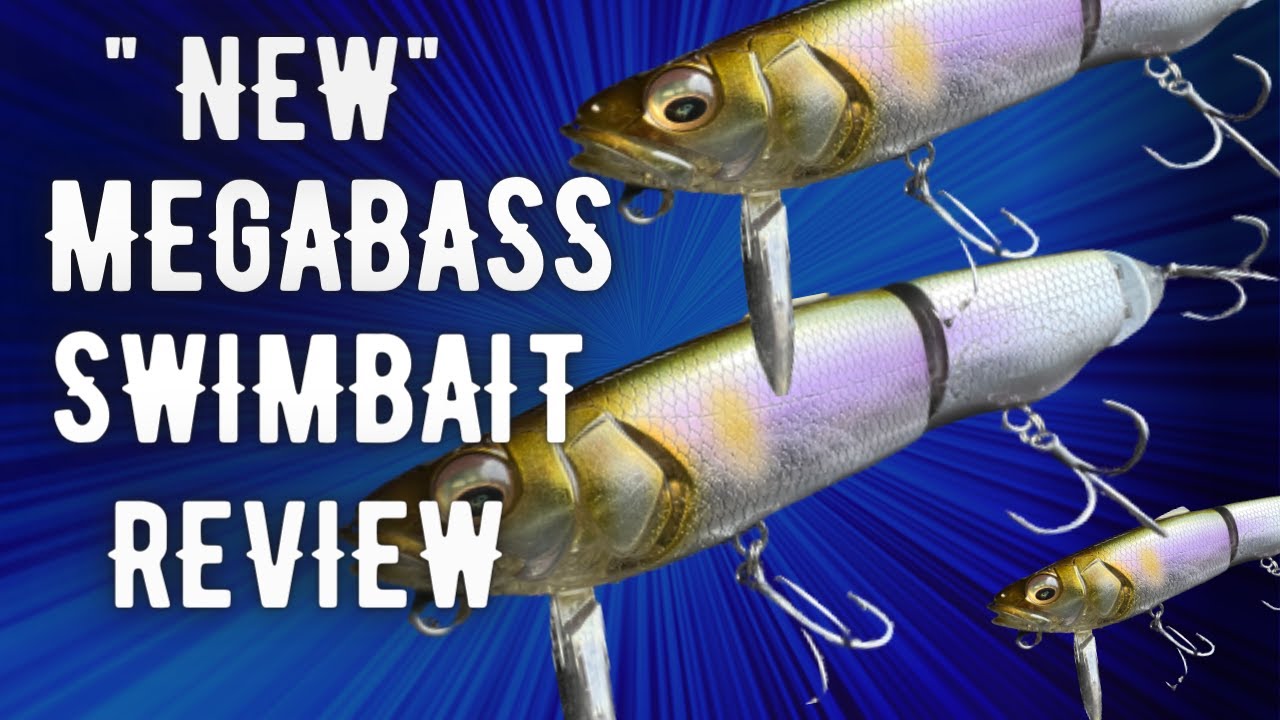 Megabass Suwitch. Action packed bait review on this new killer bait. 