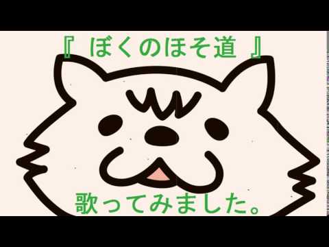 『ぼくのほそ道』  歌ってみました  みきとP×伊東歌詞太郎