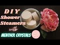 DIY🍶How to make Shower Steamers aka Shower Fizzies using Menthol Crystals | Step by Step recipe |
