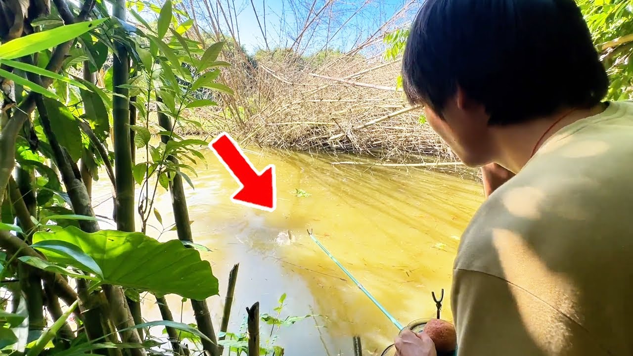 Прост. рыбак, не м. ловить рыбу, идите в курятник за кур., играйте настояще!