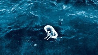Эта девочка была найдена в море в 1961 году, спустя полвека она рассказала как всё было