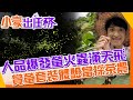 【#小豪出任務】魔幻幸福時刻!新北文山農場夜王螢火蟲帶勁閃亮開趴 @CtiTravelLiving @CtiTv