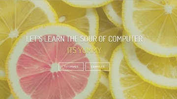 function with argument and no return value