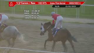 Vidéo de la course PMU PRIX PELOPONESO