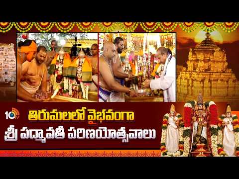 తిరుమ‌ల‌లో వైభ‌వంగా శ్రీ పద్మావతీ పరిణయోత్సవాలు | Sri Padmavathi Parinayotsavams in Tirumala | 10tv - 10TVNEWSTELUGU