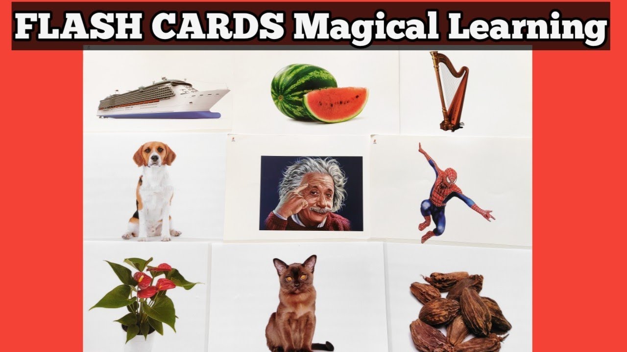 Flash cards Activities for kids with 9 types of intelligence the