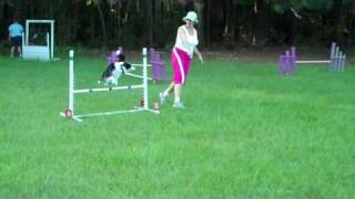 Agility Student Jump Sequence Practice
