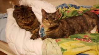 Welcome Home Mom- We Are Family