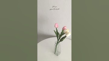 سورة النمل القارئ إسلام صبحي🤍#القرآن_الكريم#سورة_النمل#اسلام_صبحي
