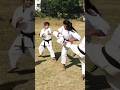 Black belt fight practice #viral #shorts