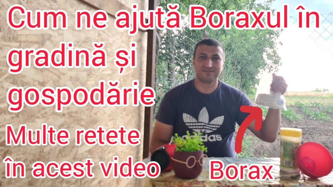 Cel mai apreciat insecticid natural pentru gradina