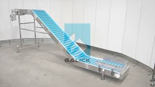Galick Incline Conveyor for Wexxar / IPAK TF100 Tray Former
