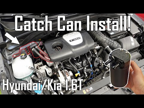 How To: Install an Oil Catch Can | Hyundai Elantra GT N Line