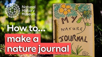 How to make a nature journal so you can record wildlife like a scientist