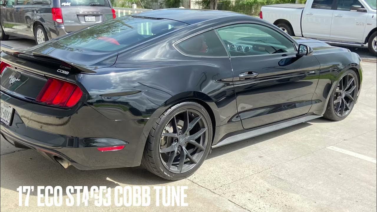 2017 Mustang Ecoboost Muffler Delete YouTube