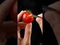 tamato slice #yt #like #viral video #viral #satisfying #reels