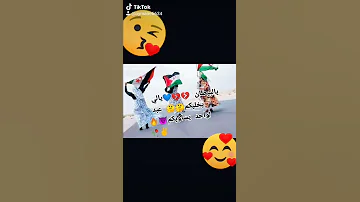 قبيلة اولاد عبد الواحد نصر وتيسير 