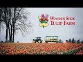 Wooden Shoe Tulip Farm - Woodburn, Oregon Wooden Shoe Tulip Farm - Woodburn, Oregon