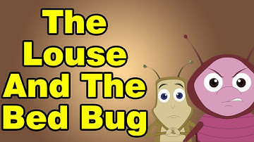 The Louse And The Bed Bug | Animated Cartoon Story For Kids | Kids Classroom