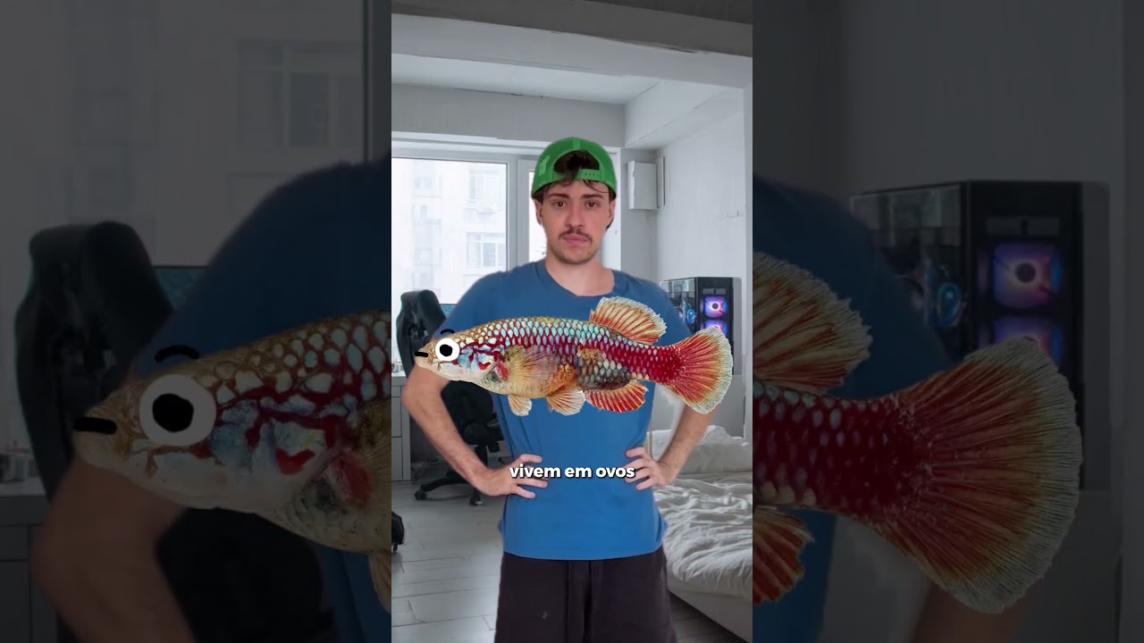 O PEIXE QUE VIVE NO DESERTO!