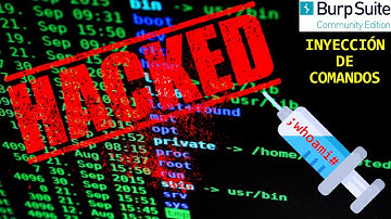 Explotando una Inyección de Comandos | Curso Pentesting Web #4