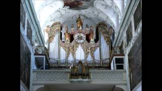 Michael Haydn Symphony No.8 im D major Perger 38, SCO / Warchal