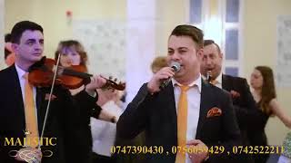 FORMATIA MAJESTIC 2017   DE AS TINE PAMANTU N PALMA nunta Braila  nunta galati nunta bucuresti