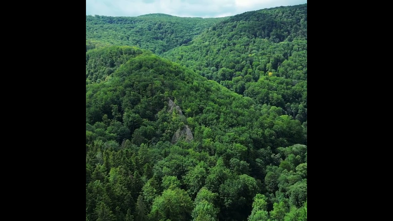 Maxaa Gaalo ina Dhex Mari Kara!