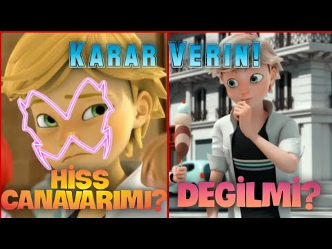 Video: Canavarımı köçürməliyəm?