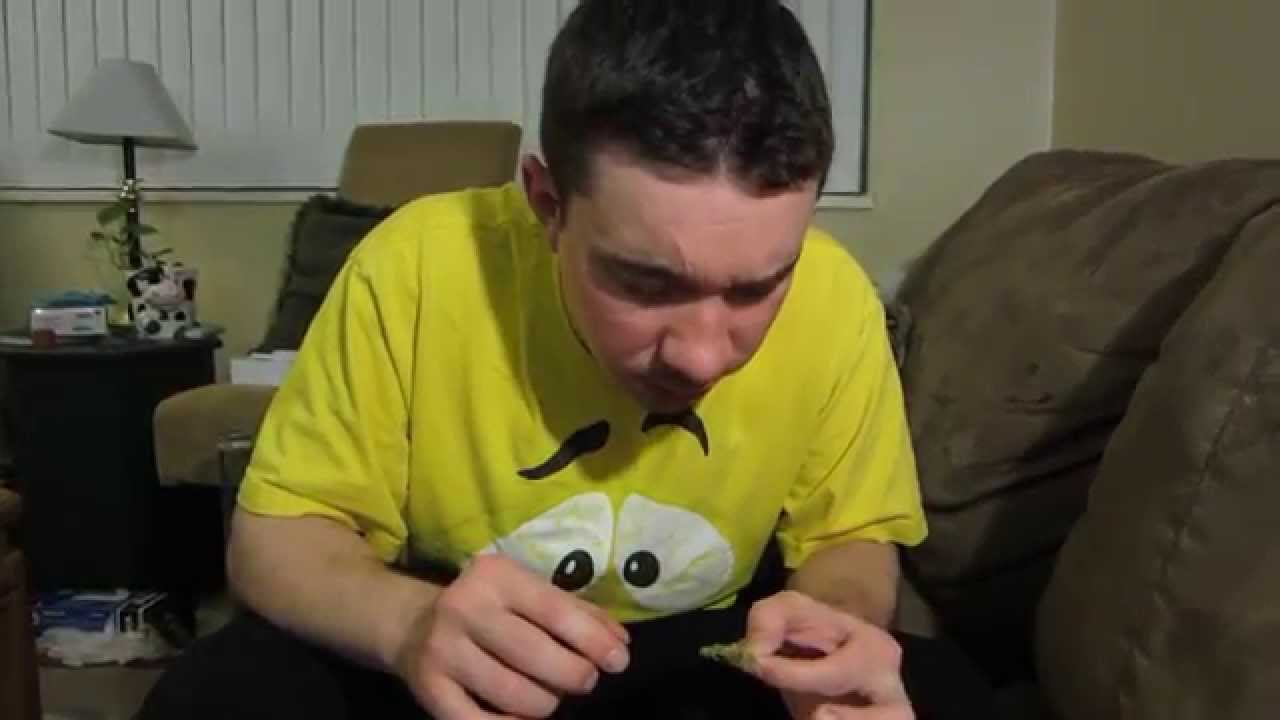 Oiled Eric Skunk Valley Haze (Nug) Medical Marijuana Review