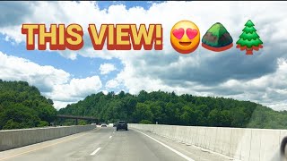 Ikuti Jalan Ini Bersamaku… Kamu Tak Akan Percaya Pemandangan Di Depanmu 🌲👀