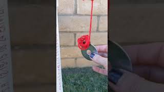 10 cm Pendulum