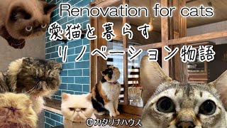 愛猫と暮らすリフォームのビフォーアフター♪Renovation for cats