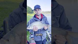 Простой способ поймать леща #рыбалка #фидер #лещ