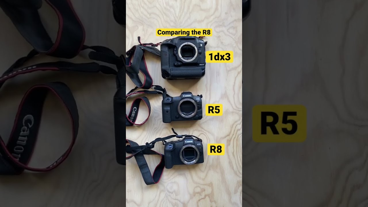 Comparing the new Canon R8 in size  canonr8  r8  r5  canoncameras  photographer