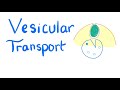 Vesicular Transport Mechanisms in Cell Physiology