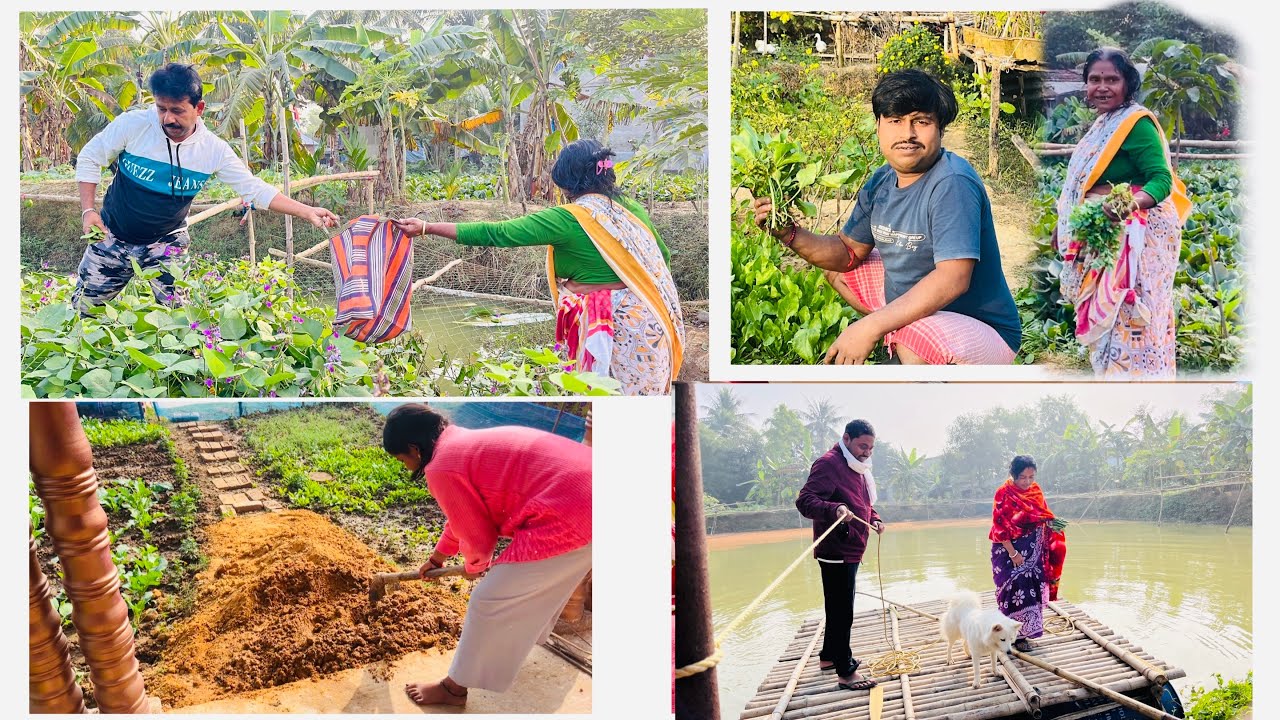 জমি থেকে কি কি সবজি নিয়ে গেল বাজারে।আর পিসি একটুর জন্য আজ বেঁচে গেল।🙂​⁠