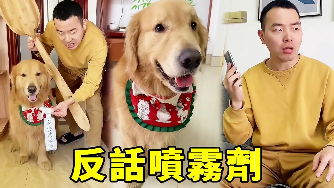 毛爸今天怎麼了，說的話都不是自己心裡想的，四毛究竟又在搞什麼？【起错名的四毛】