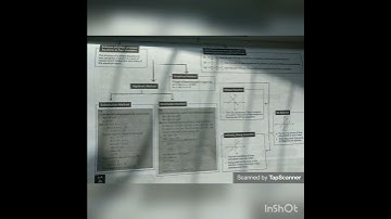 Maths One Shot Revision Class 10 #class10 #cbse #strategy #viral #boards #exam #latest #preparation