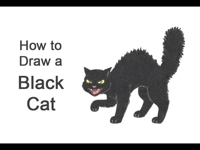 How to Draw a Black Cat for Halloween || VIDEO & Step-by-Step Pictures