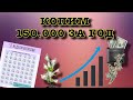 КАК НАКОПИТЬ 150.000 за год ? 52 недели богатства