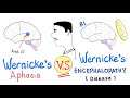 Wernicke’s Aphasia VS Wernicke's Encephalopathy | Neuro