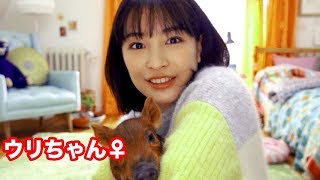 広瀬すずがYouTuberに挑戦!!スマホで写真年賀状作り／フジカラーCM