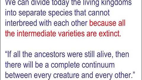 Adam and Eve Evolution