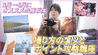 【春に撮るべきオススメの被写体】撮影のコツやポイントを徹底解説！
