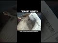 “狂気の男”合戸孝二3