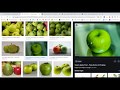 IMAGE SEARCH WITHOUT COPYRIGHT VIDEO BY GOPINATH