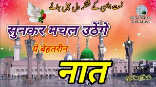 || सुनकर मचल उठेंगे ये बेहतरीन नात💞 || shahnaz Husain💖 || Heart Touching Naat💕 ||